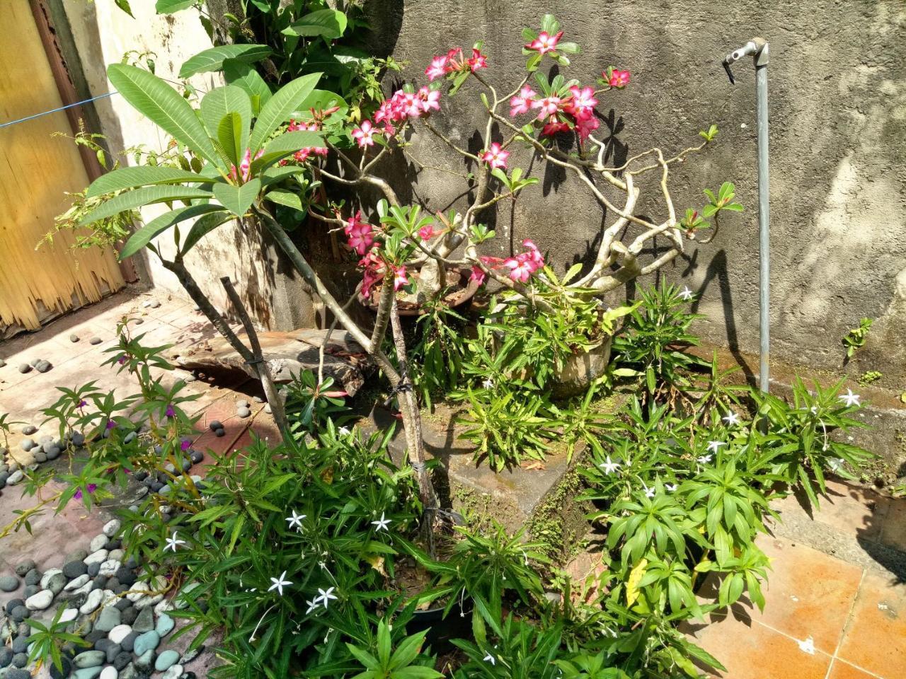 Suandi House Bed & Breakfast อูบุด ภายนอก รูปภาพ